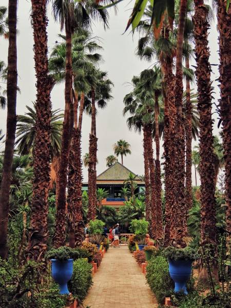 Riad Lila Riad Lila1