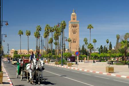 Riad Lila Riad Lila11